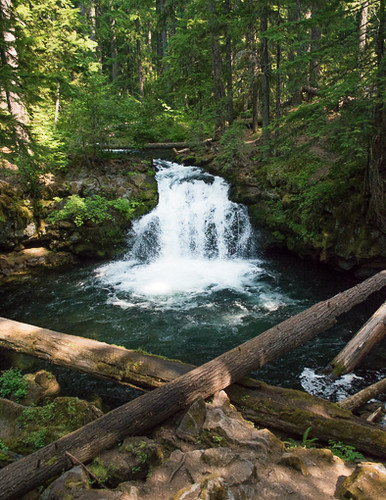 Whitehorse Falls, Umpqua National Forest