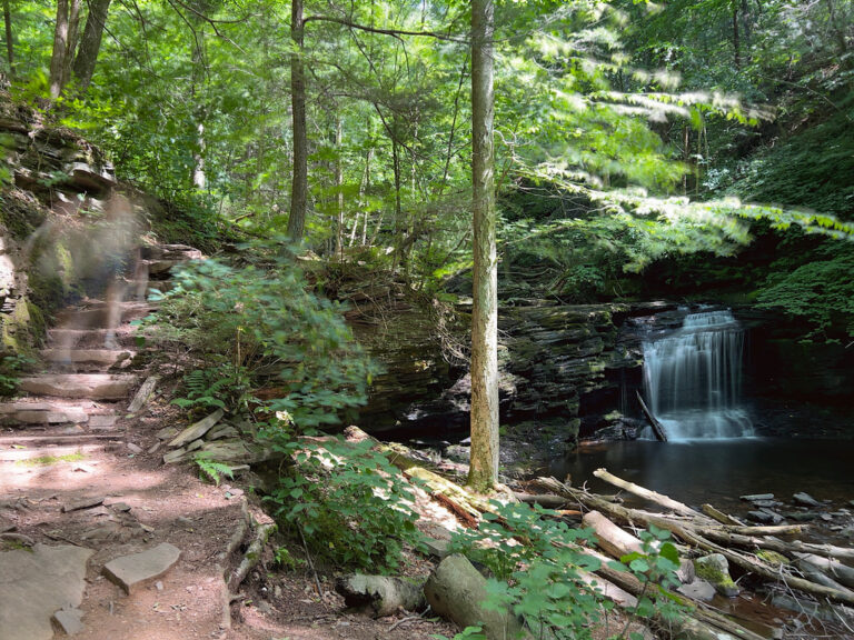 Wyandot Falls