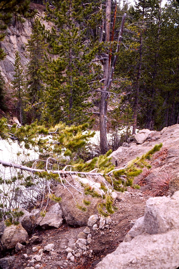 Wyoming - Yellowstone National Park - Virginia Cascade - June 1975