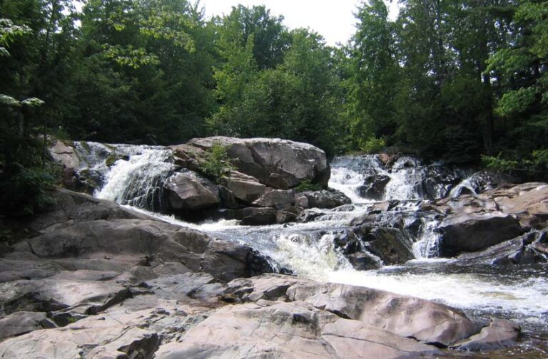 Yellow dog falls