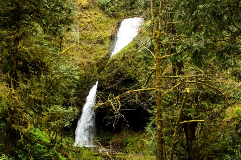 Upper Latourell Falls, Oregon