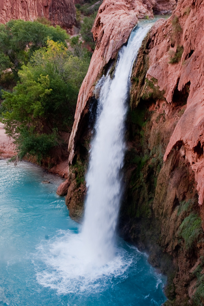 havasu-falls-arizona-427 havasu-falls-arizona-427